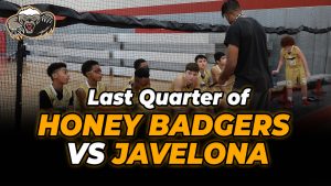 Read more about the article Last Quarter of Honey Badgers vs Javelona